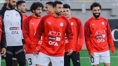 كأس أمم إفريقيا، أراء الشارع حول مباراة منتخب مصر مع موزمبيق ( فيديو )