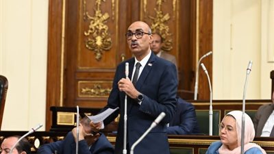 النائب إيهاب منصور: التدريب من أهم أدوات تحسين جودة العمل