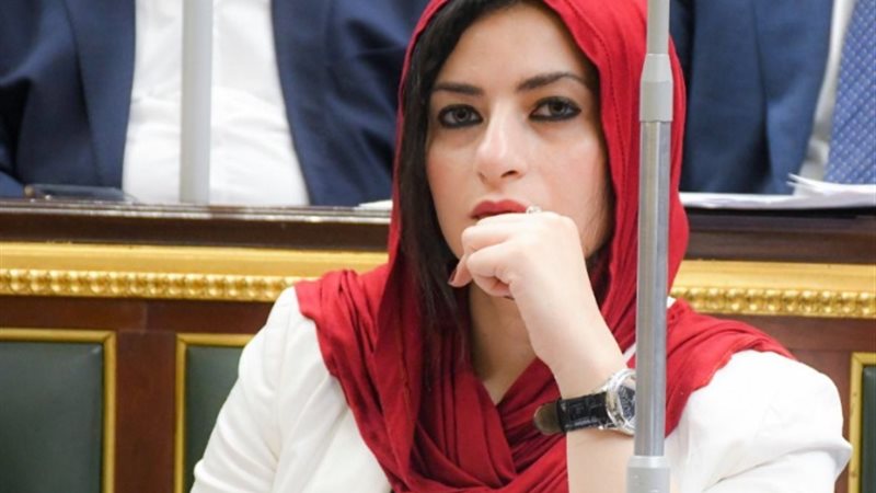 النائبة آيات الحداد عضو مجلس النواب