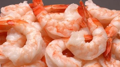 أسعار الأسماك ، اليوم الأربعاء في الأسواق الجمبري الصغير  بـ 200 جنيه