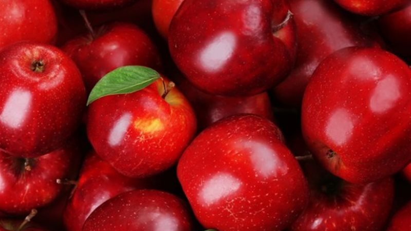 أسعار التفاح اليوم الخميس
