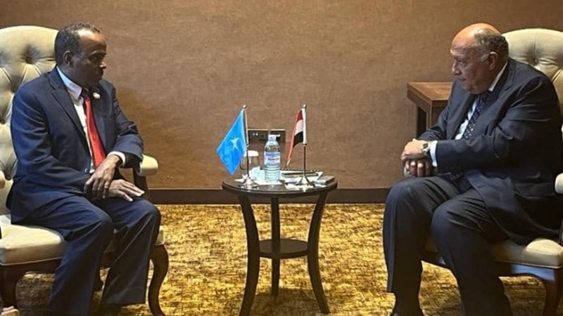 وزير الخارجية والقائم بأعمال وزير الخارجية الصومالي