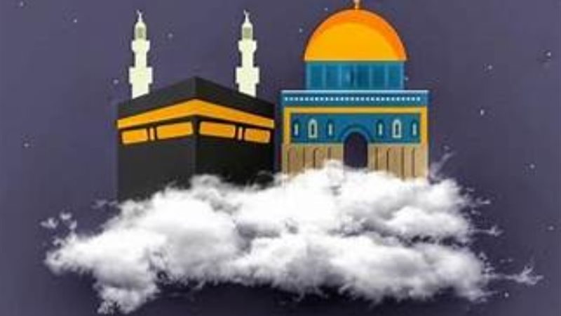 ارشيفية