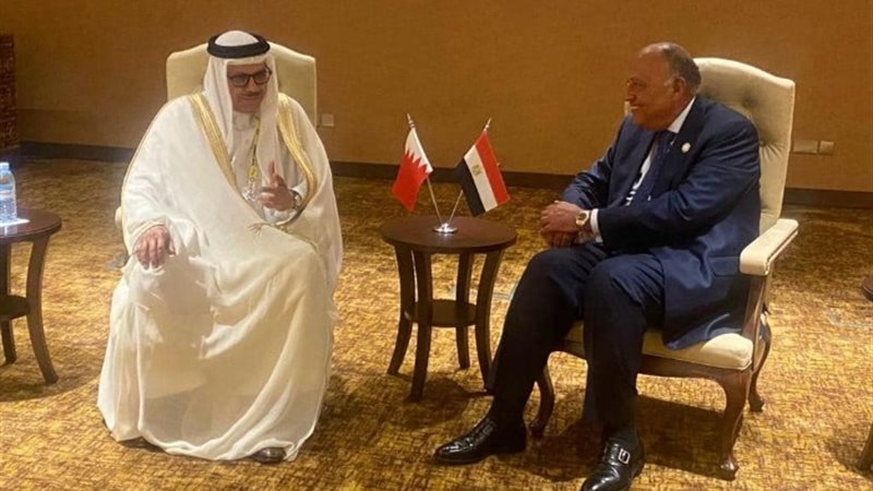 سامح شكرى ونظيره البحرينى
