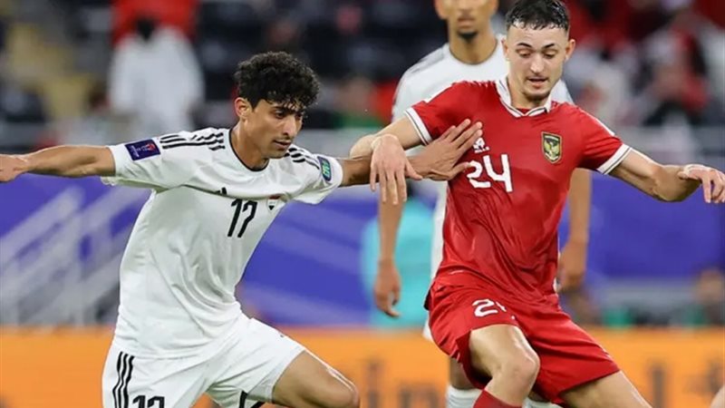 فيتنام وإندونسيا
