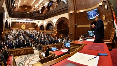ممثل الحكومة يوافق على مناقشة  طلب موجه لوزير السياحة بمجلس الشيوخ