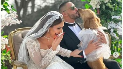 أحمد الفيشاوي يتزوج من مي سليم في «بنقدر ظروفك»