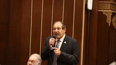 رئيس برلمانية مستقبل وطن بـ