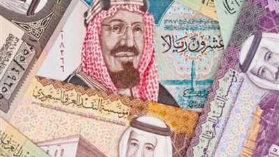 أسعار العملات العربية مقابل الجنيه المصري اليوم الإثنين 22/1/2024