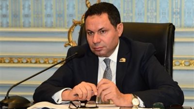 إنشاء محور وتوفير مصدر ري بديل في المنوفية.. توصيات «زراعة النواب» اليوم