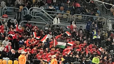 أمم إفريقيا لكرة اليد، شاهد علم فلسطين يزين مدرجات مباراة مصر وأنجولا