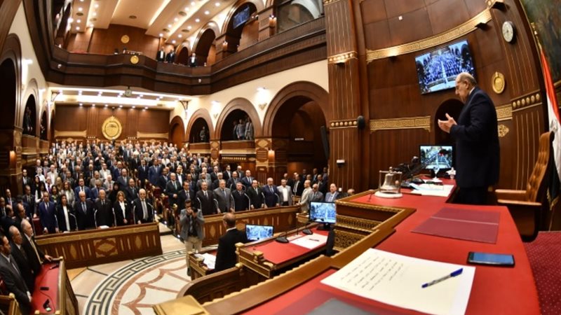 المهندس حازم الجندي عضو مجلس الشيوخ