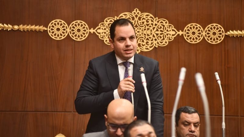 النائب أحمد فوزي