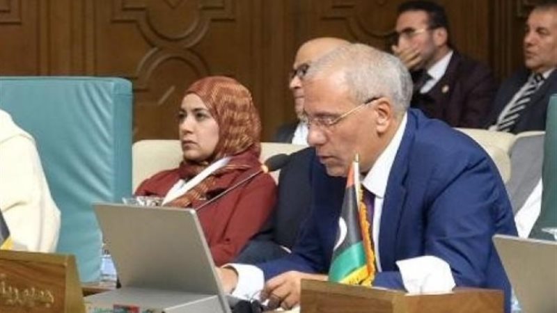 مندوب مصر لدى جامعة الدول العربية محمد مصطفى عرفي