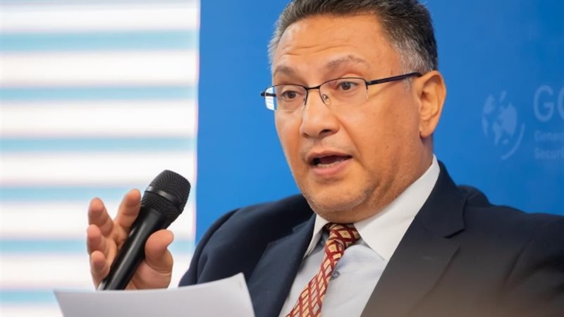 د. أحمد قنديل