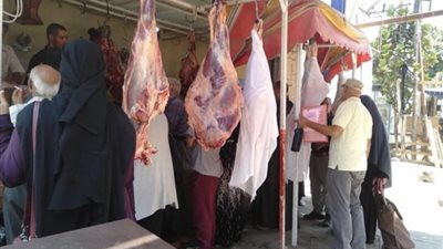 اللحوم بـ240 جنيها، تخفيضات جديدة على أسعار السلع الغذائية