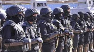 الداخلية تضبط 319 قضية مخدرات وتنفذ 85334 حكم قضائي