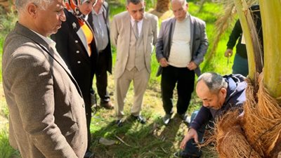 ابتكار جهاز لعلاج النخيل من السوس الأحمر بالوادي الجديد
