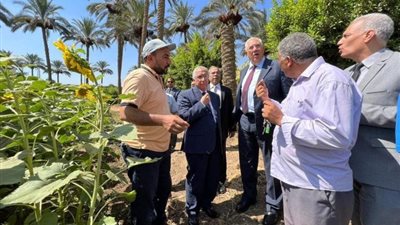 الطورائ بدمياط ،، تحرير محضر جنح ضد مواطن تعدي على أرض زراعية
