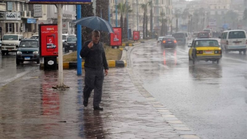نوة الكرم، محافظة الإسكندرية