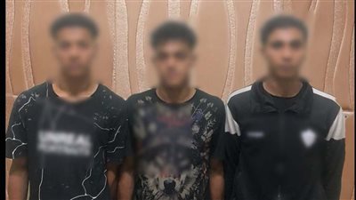 معاكسة سيدة وإتلاف سيارة.. فيديو اعتداء بالحوامدية يثير الجدل والأمن يتدخل