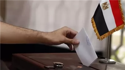 تصويت المصريين بالخارج في انتخابات مجلس النواب وصل لـ117 دولة