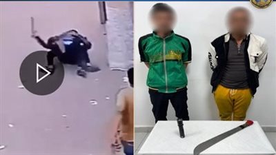 النيابة تحقق مع طرفي مشاجرة بالشرقية بعد تداول الفيديو