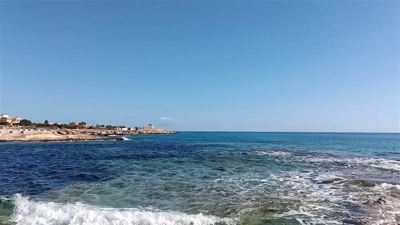مشروع علم الروم 