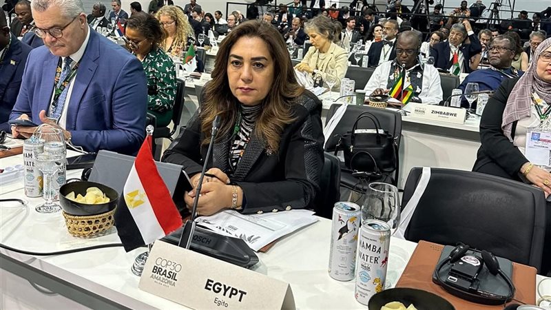وزيرة التنمية المحلية