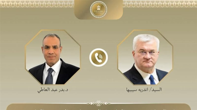 وزيرا خارجية مصر وأوكرانيا