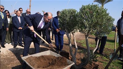 رئيس الرقابة المالية يشارك بمبادرة زراعة الأشجار في حديقة الصداقة بشرم الشيخ
