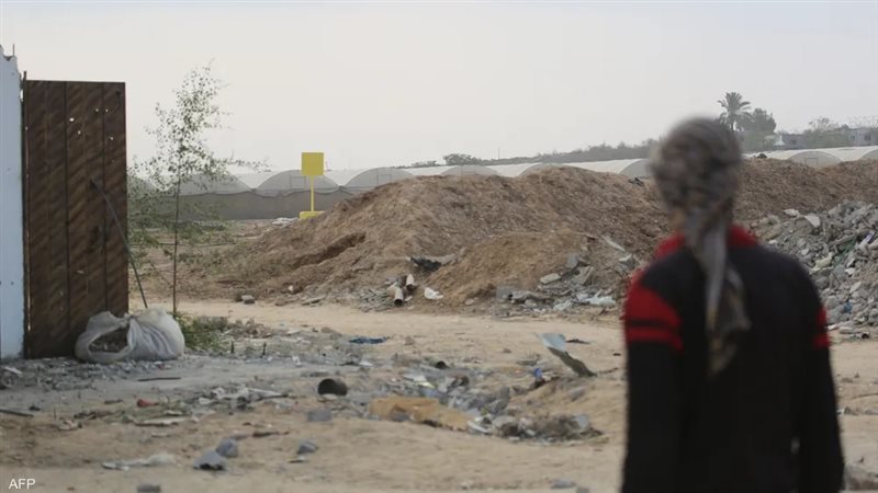 الخط الاصفر 