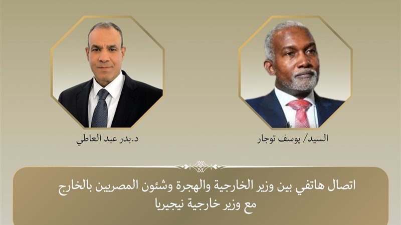 مصر ونيجيريا