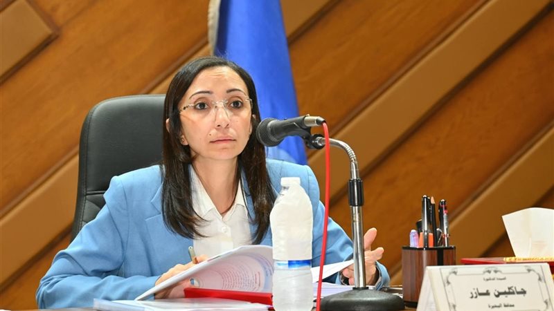 محافظ البحيرة 