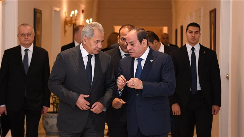 الرئيس السيسي وأمين مجلس الأمن الروسي