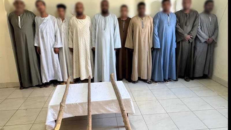 المتهمين 