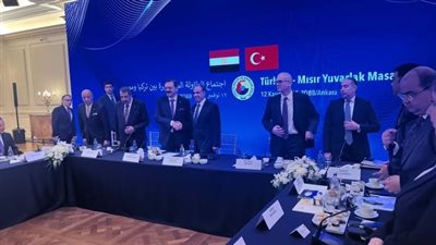 وزير الخارجية: العلاقات الاقتصادية مع تركيا تشهد حاليا زخما غير مسبوق