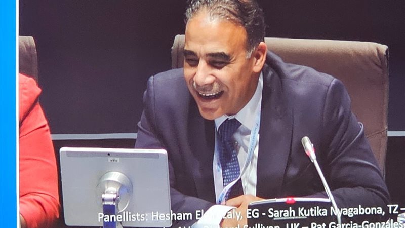 صورة من الفاعلية