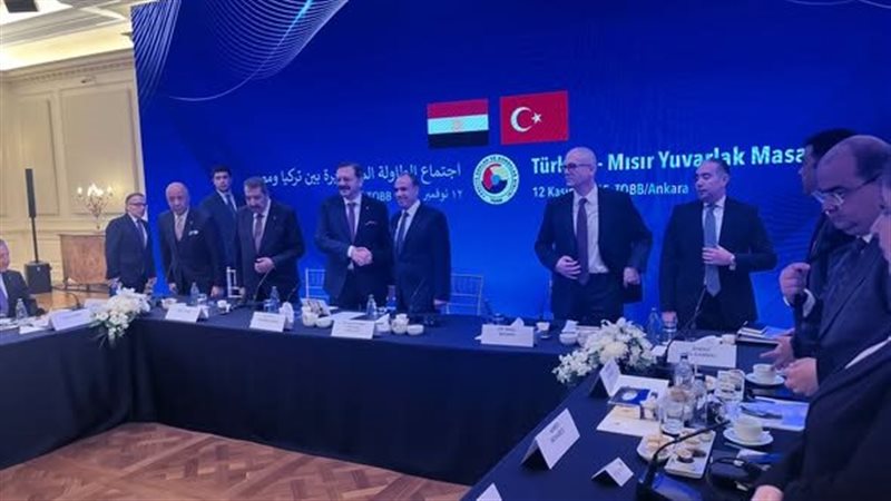  الدكتور بدر عبد العاطي وزير الخارجية