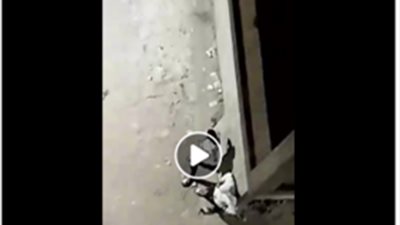 ضبط 3 أشخاص روّجوا مواد مخدرة بالقليوبية بعد تداول مقطع فيديو