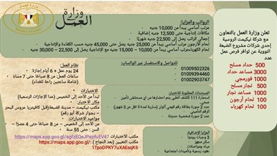 وزارة العمل توفر 6200 فرصة عمل جديدة بمشروع الضبعة النووي بالتعاون مع شركة بتروجيت