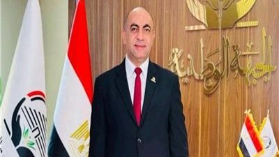 عضو بالشيوخ: مشهد الانتخابات يؤكد التفاف المصريين حول قيادتهم السياسية