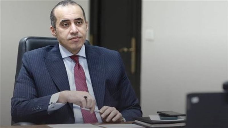  المستشار محمود فوزي