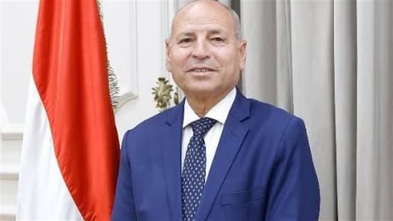 محافظ القاهرة 