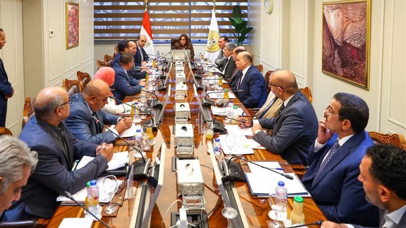 وزارة التنمية المحلية مع وزارة المالية 