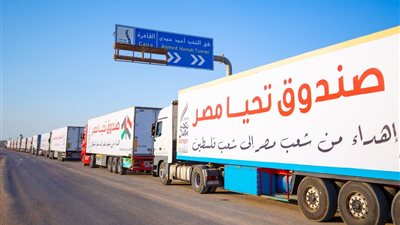 ما حجم الدور المصري في تقديم المساعدات الإنسانية لغزة بعد الهدنة؟