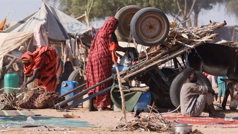 دعم باكستاني لوحدة السودان