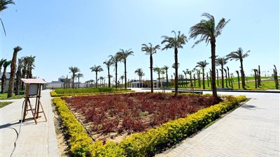 من مكب نفايات إلى