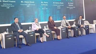 عبير خضر: أموال العملاء في البنك الأهلي مؤمنة تماما ضد الهجمات السيبرانية