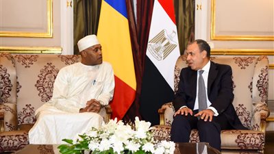 وزير الخارجية المصري يبحث مع نظيره التشادي تعزيز التعاون الثنائي والأوضاع الإقليمية